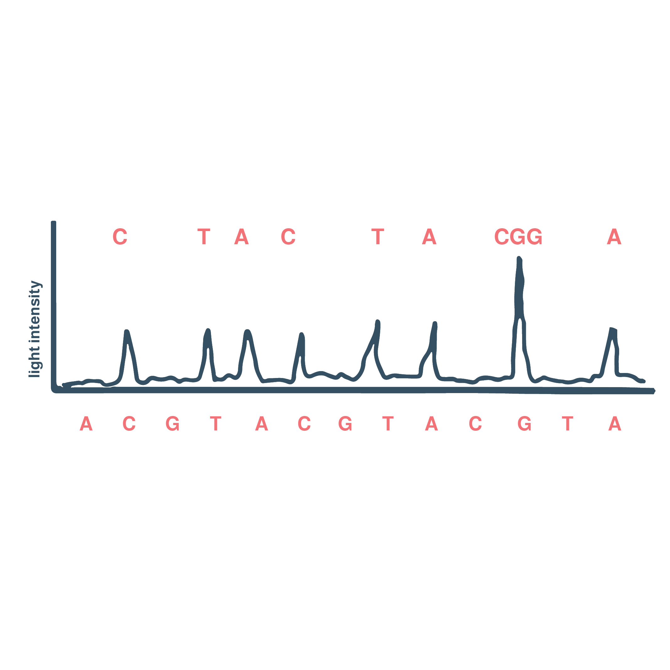 Pyrosequencing