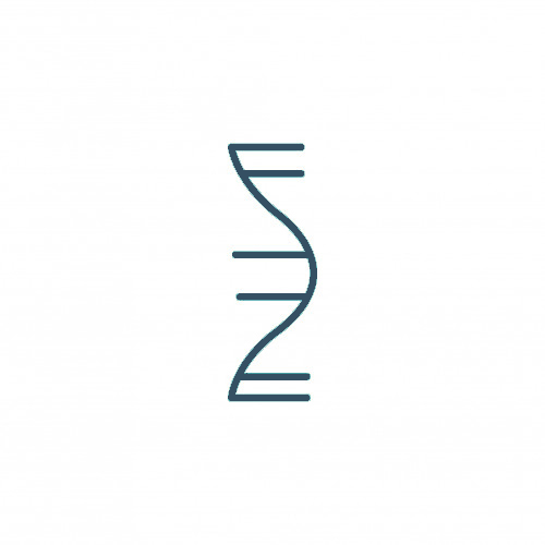 RNA Stabilization