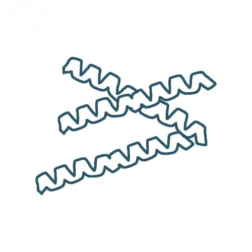 Protein Assays and Analysis