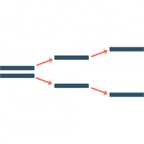 Polymerase Chain Reaction (PCR)