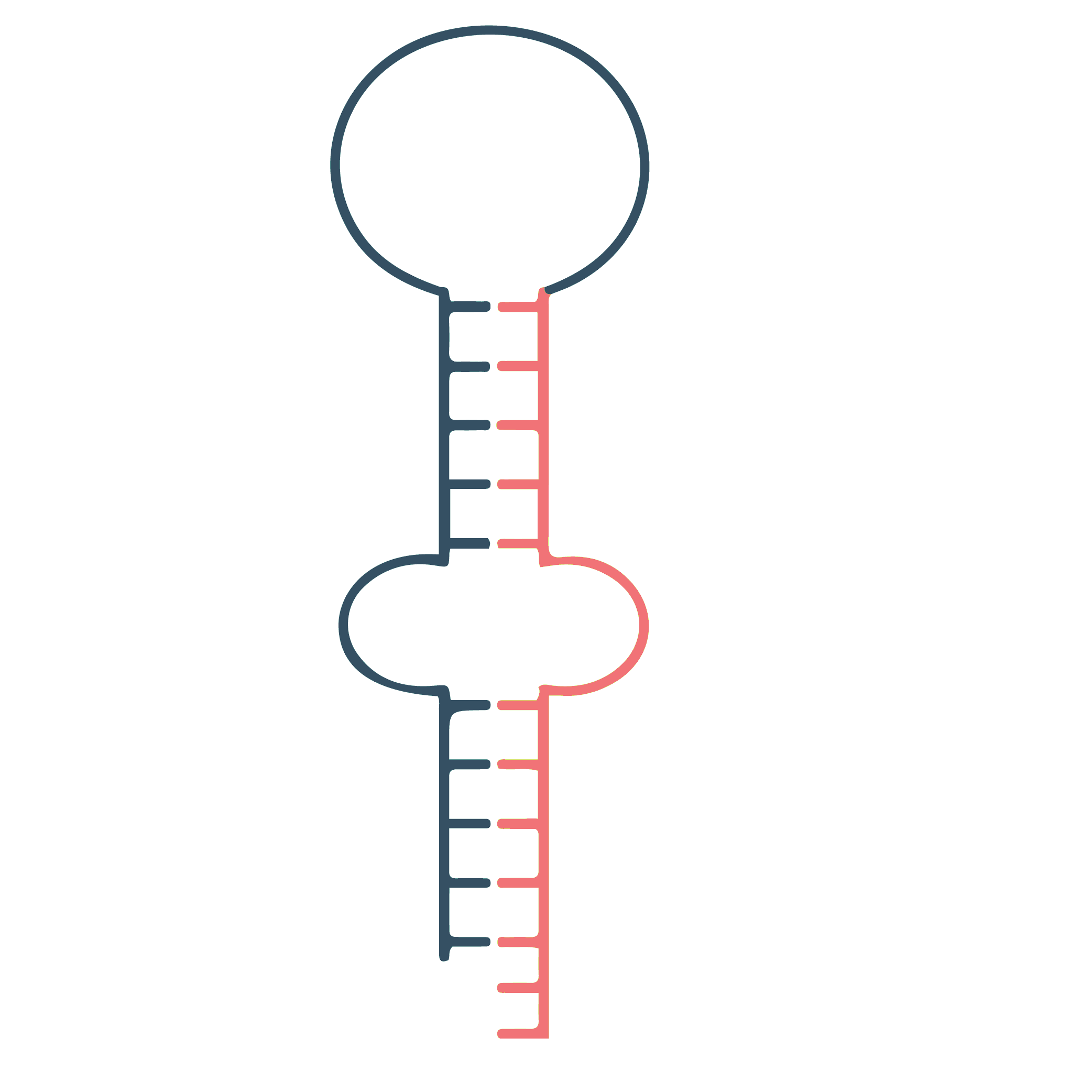 MicroRNA Analysis