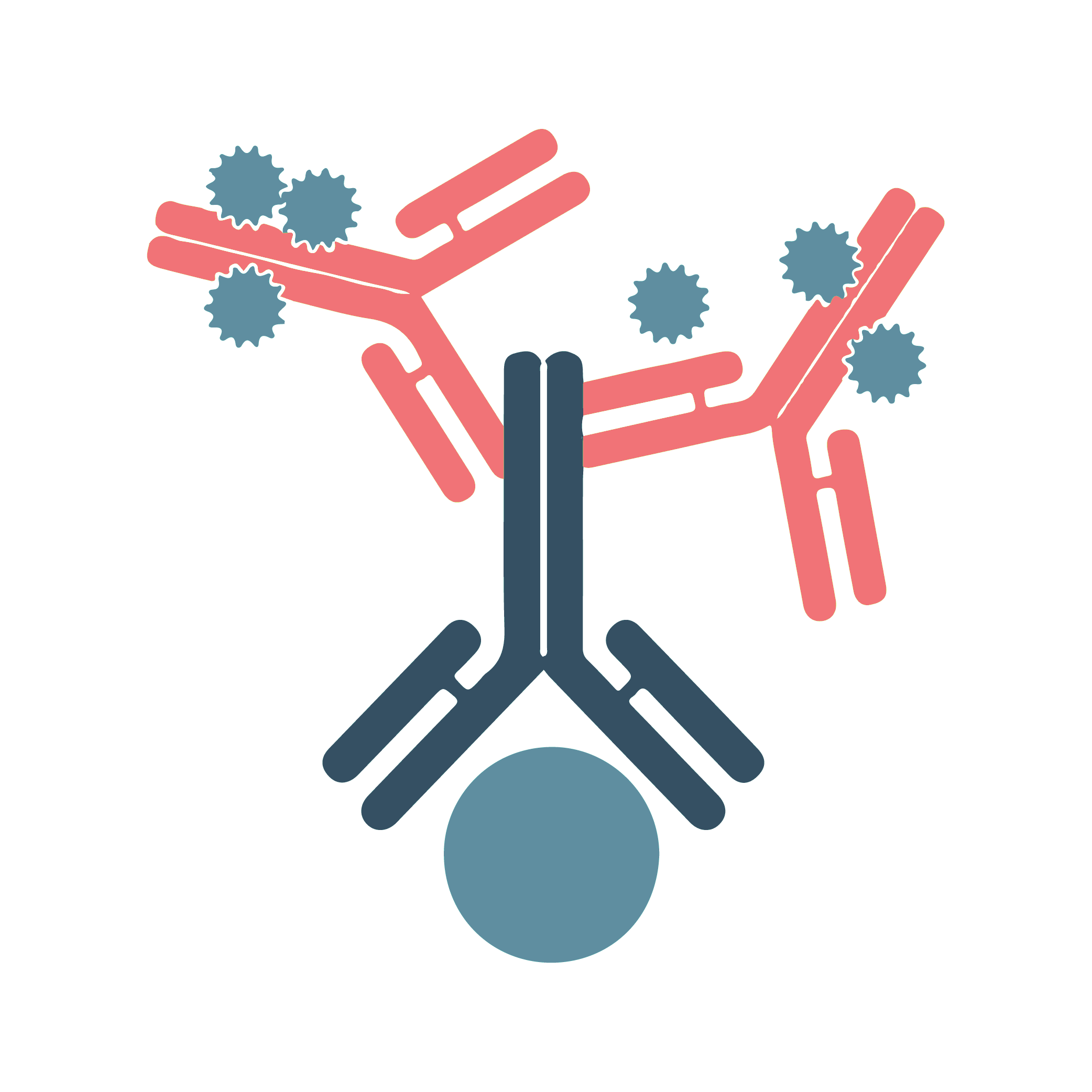 Immunofluorescence