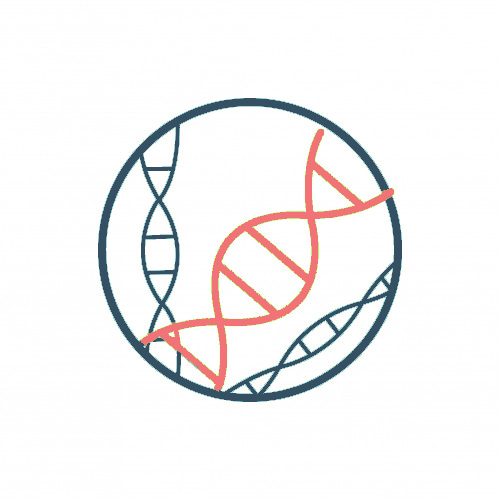 Whole Genome Amplification (WGA)