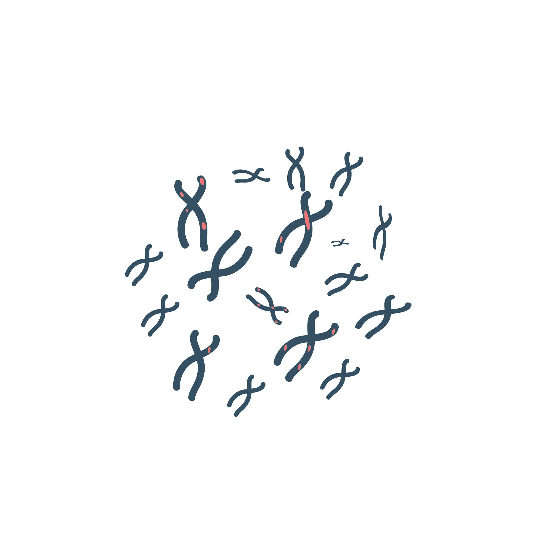 Fluorescent In Situ Hybridization (FISH)