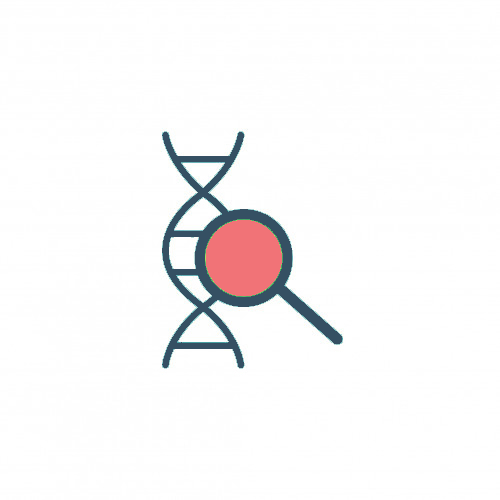 Reverse Transcription (cDNA Synthesis)