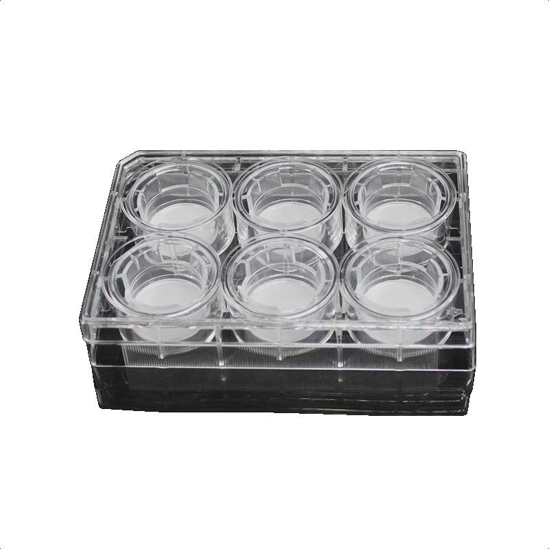 LabSelect 24mm TransWell With 0.4um Pore Polyester Membrane Insert, Sterile