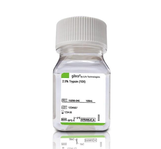 Gibco™ Trypsin (2.5%), No Phenol Red, 100 mL