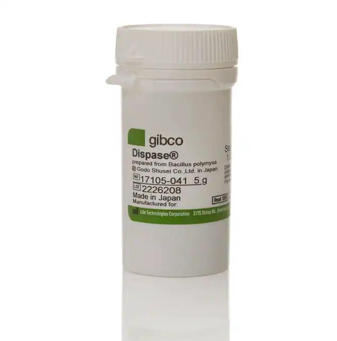 Gibco™ Dispase II, powder