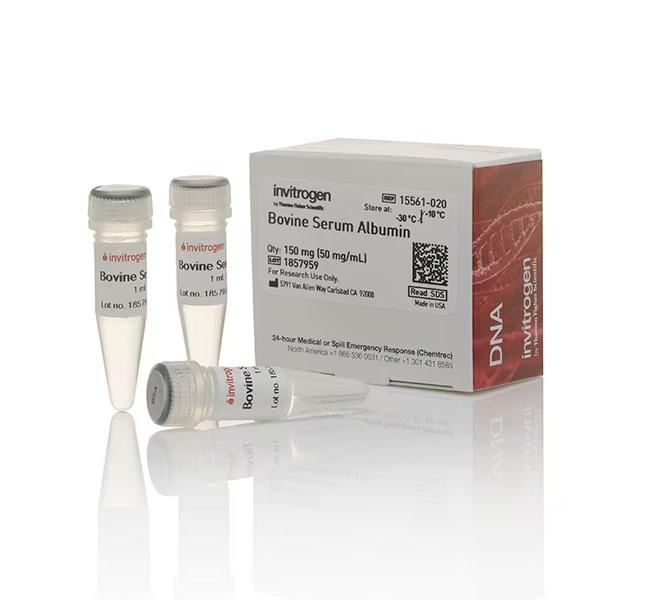 Thermo Scientific™ Bovine Serum Albumin (BSA)