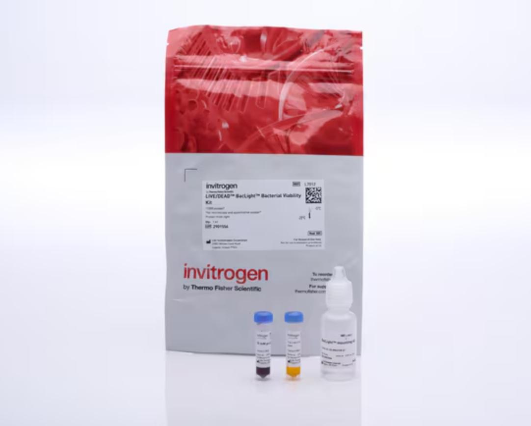 Invitrogen™ LIVE/DEAD™ BacLight™ Bacterial Viability Kit, for microscopy & quantitative assays