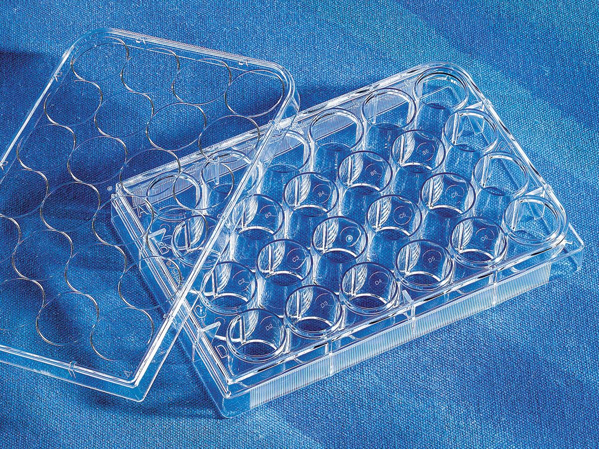 Costar® 24-well Clear TC-treated Multiple Well Plates, Individually Wrapped, Sterile