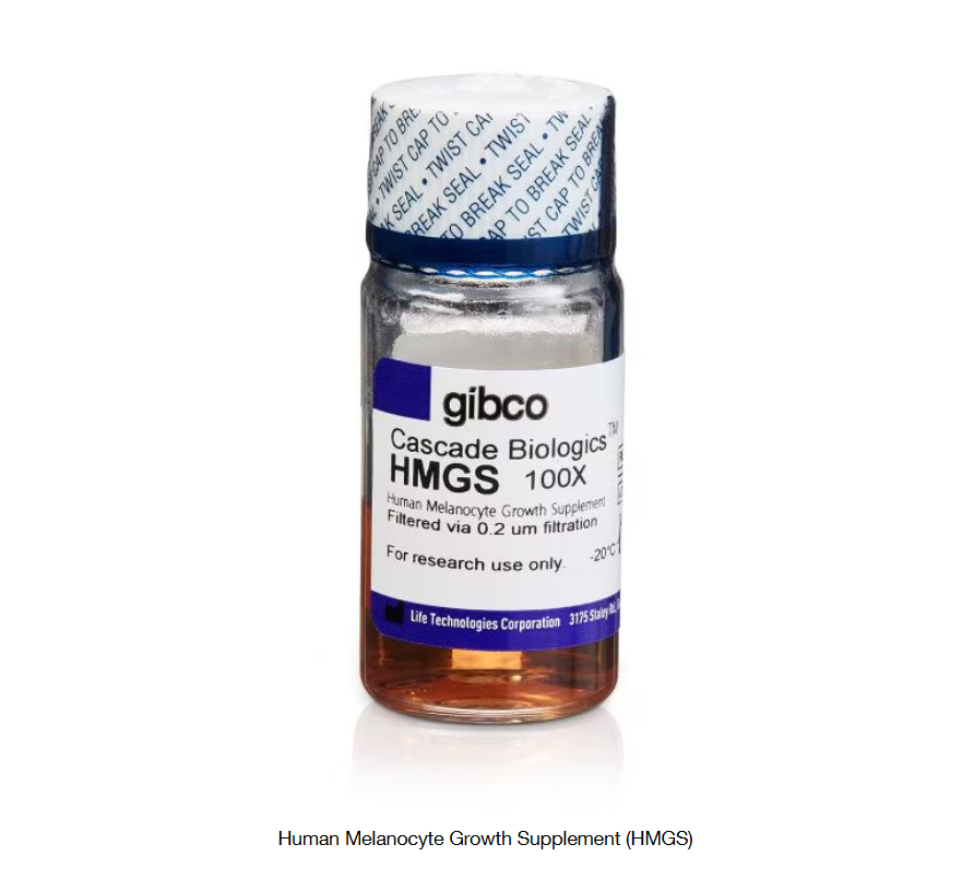 Gibco™ Human Melanocyte Growth Supplement (HMGS)