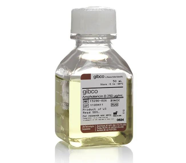 Gibco™ Amphotericin B, 50 mL