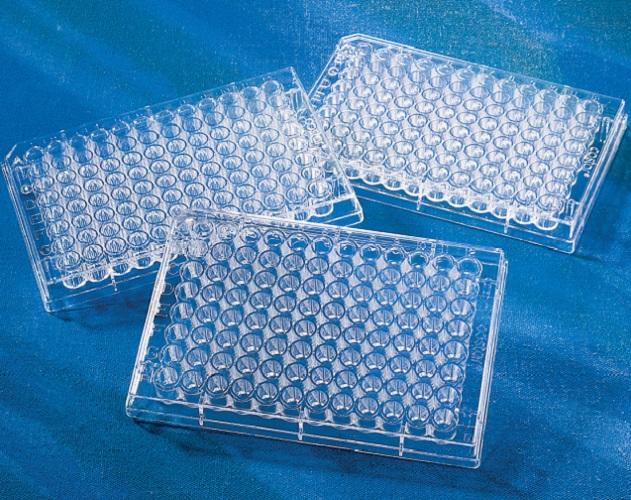 Corning® 96-well Clear Flat Bottom Polystyrene High Bind Microplate, without Lid, Nonsterile