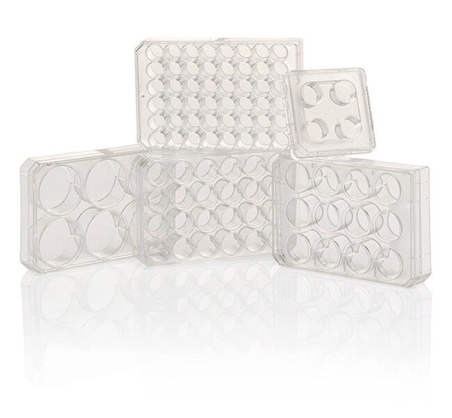 Nunc™ Cell-Culture Treated 4 well plates