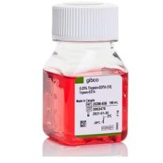 Gibco™ Trypsin-EDTA (0.25%), Phenol Red, 100 mL