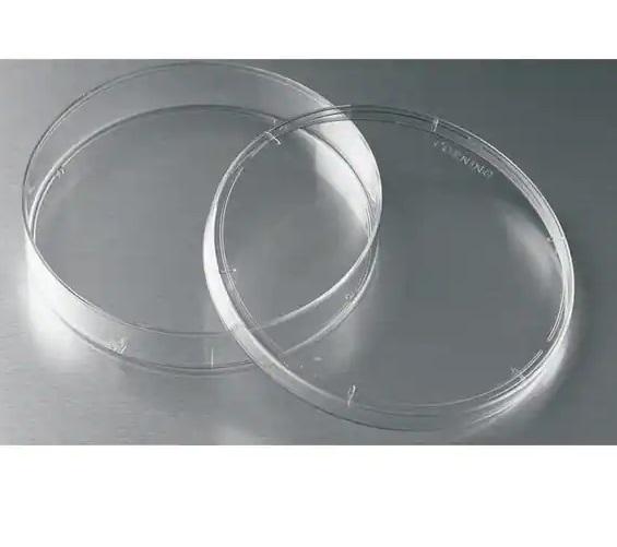 Corning® TC-treated Culture Dish, 100 mm