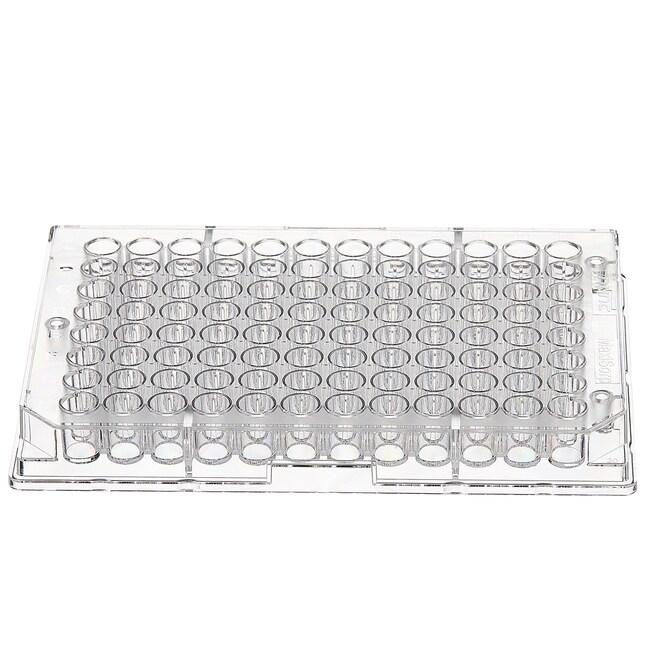 Thermo Scientific™ Clear Flat-Bottom Immuno Nonsterile 96-Well Plates, MaxiSorp