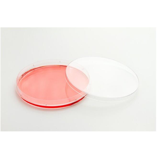 Nunc™ EasYDish™ Dishes 35mm