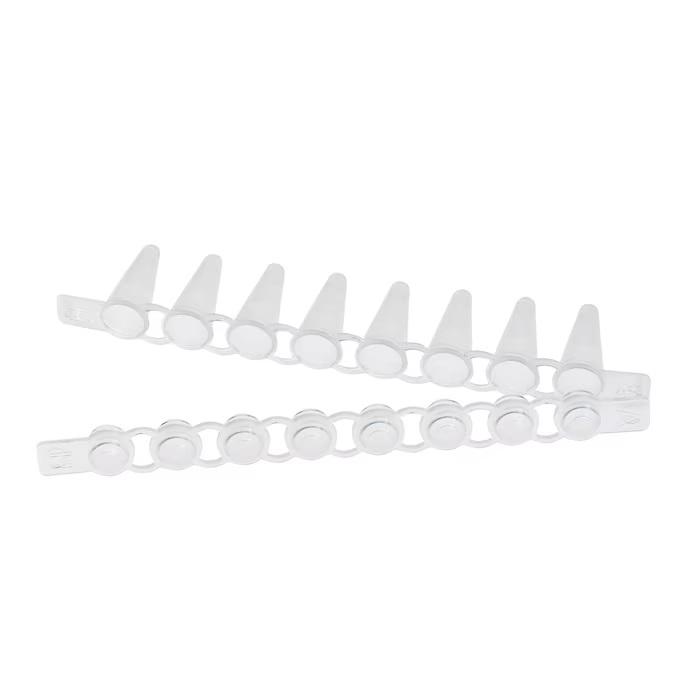 Eppendorf PCR Tube Strips, 0.1 mL, PCR clean, with Cap Strips, domed (10 × 12 strips)