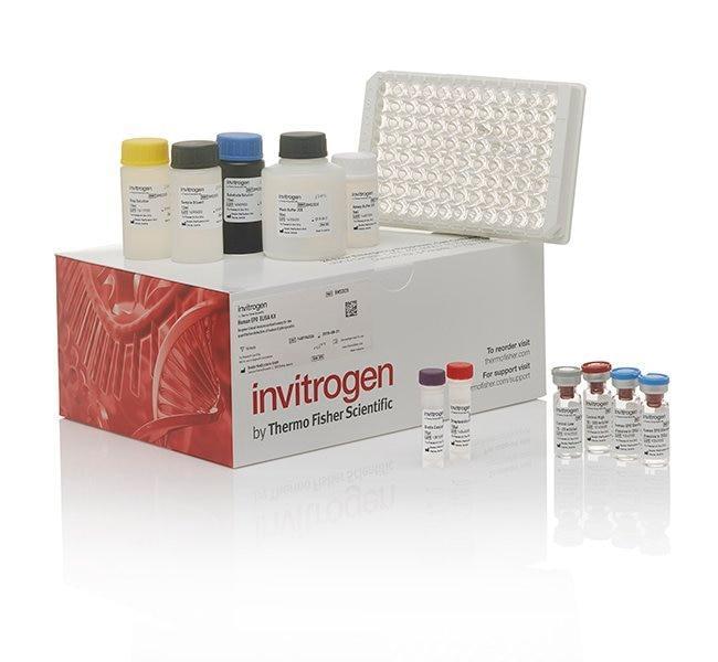 Browse Invitrogen TNF alpha Bovine ELISA Kit, 96 Tests