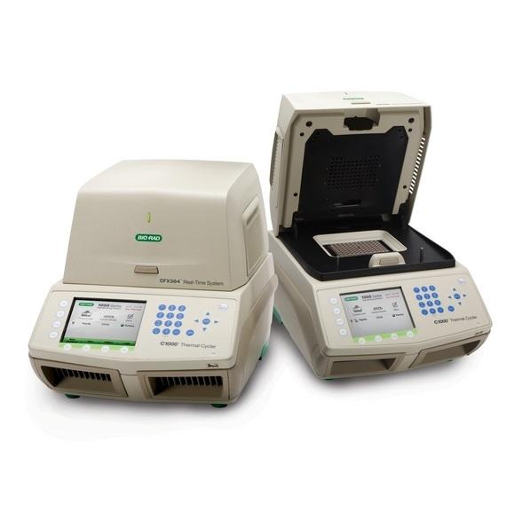 Real-Time PCR Detection System, CFX384