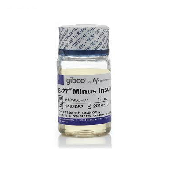 Gibco™ Insulin, human recombinant, zinc solution