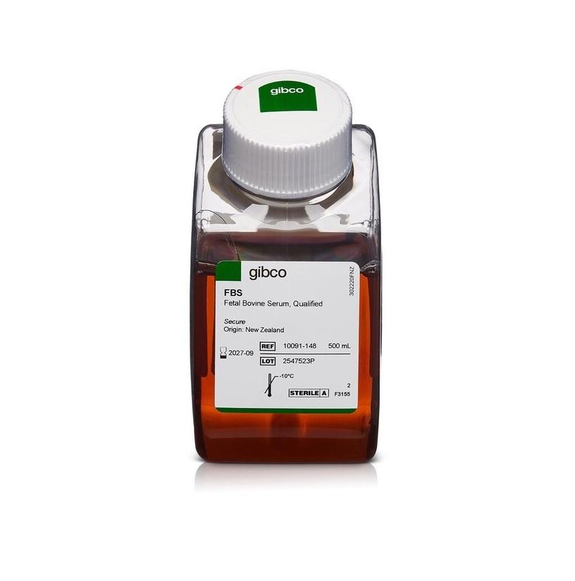 Gibco™ Fetal Bovine Serum, qualified, One Shot™ format, New Zealand, 500 mL