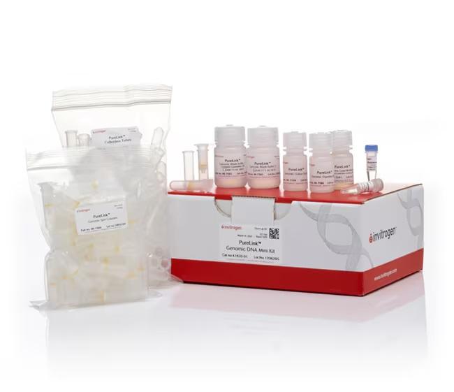 Invitrogen™ PureLink™ Genomic DNA Mini Kit, 50 Preps