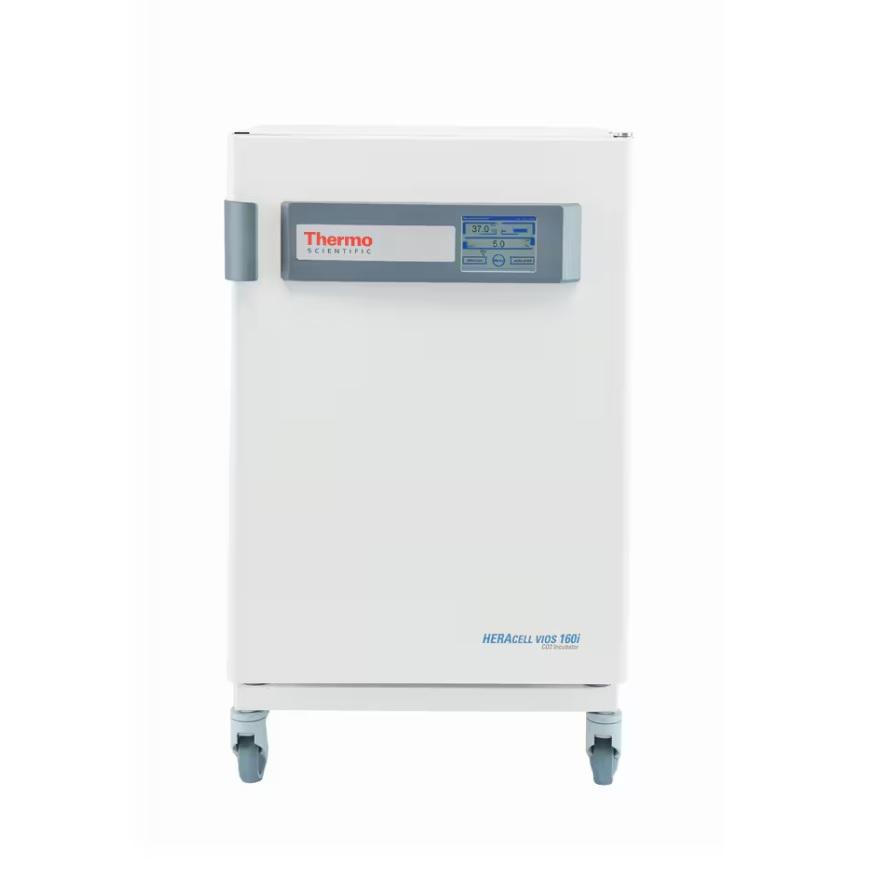 Thermo Scientific™ Heracell™ VIOS 160i CO2 Incubator, 165 L, Electropolished Stainless Steel