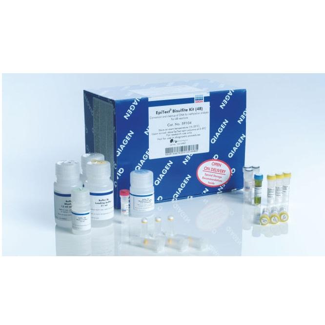 EpiTect Bisulfite Kit (48)
