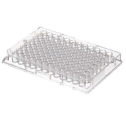 Thermo Scientific™ Clear Flat-Bottom Immuno Nonsterile 96-Well Plates, MaxiSorp, Certified