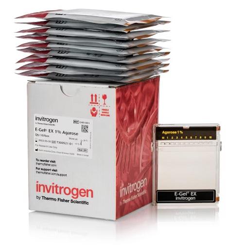 Invitrogen™ E-Gel™ EX Agarose Gels, 1%, 10 gels