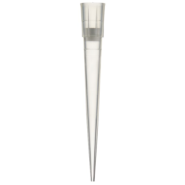 Finntip™ Filtered Pipette Tips, 200 µL, Sterile